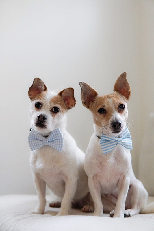 Matching Accsessories