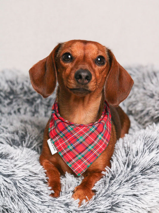 Bandanas For Every Season