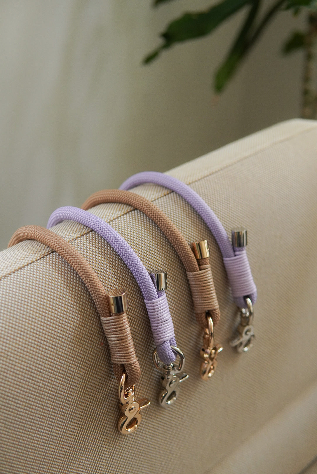 Leashes
