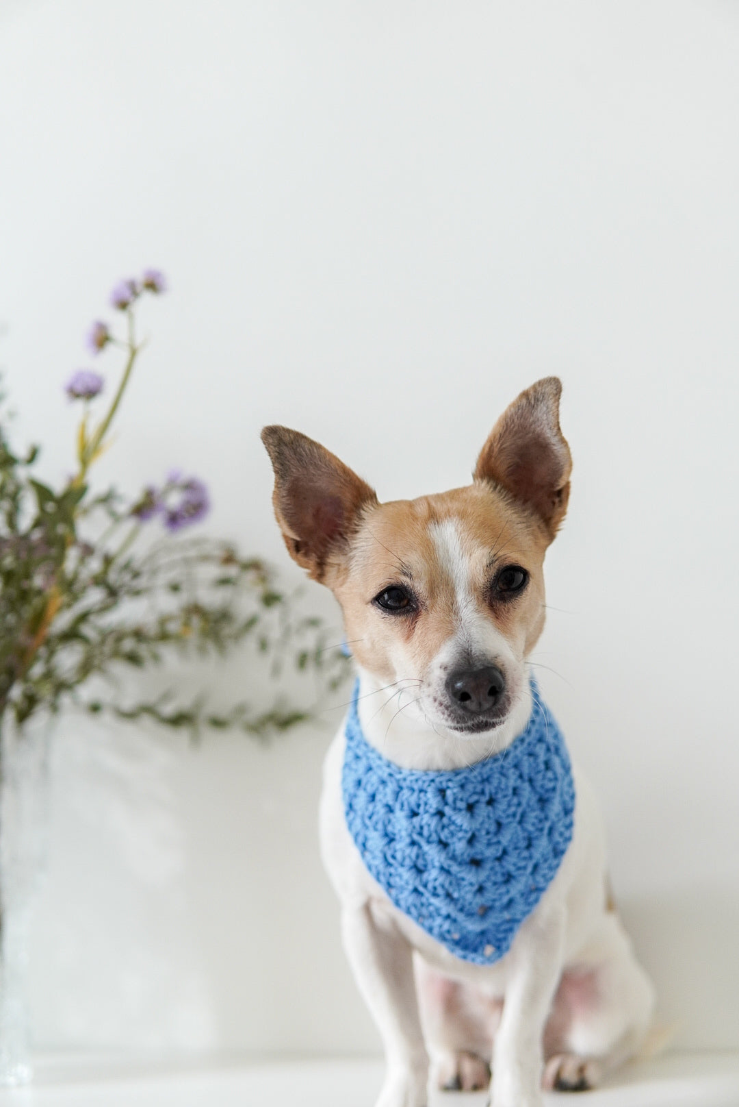 Bandana Crocheted Blue