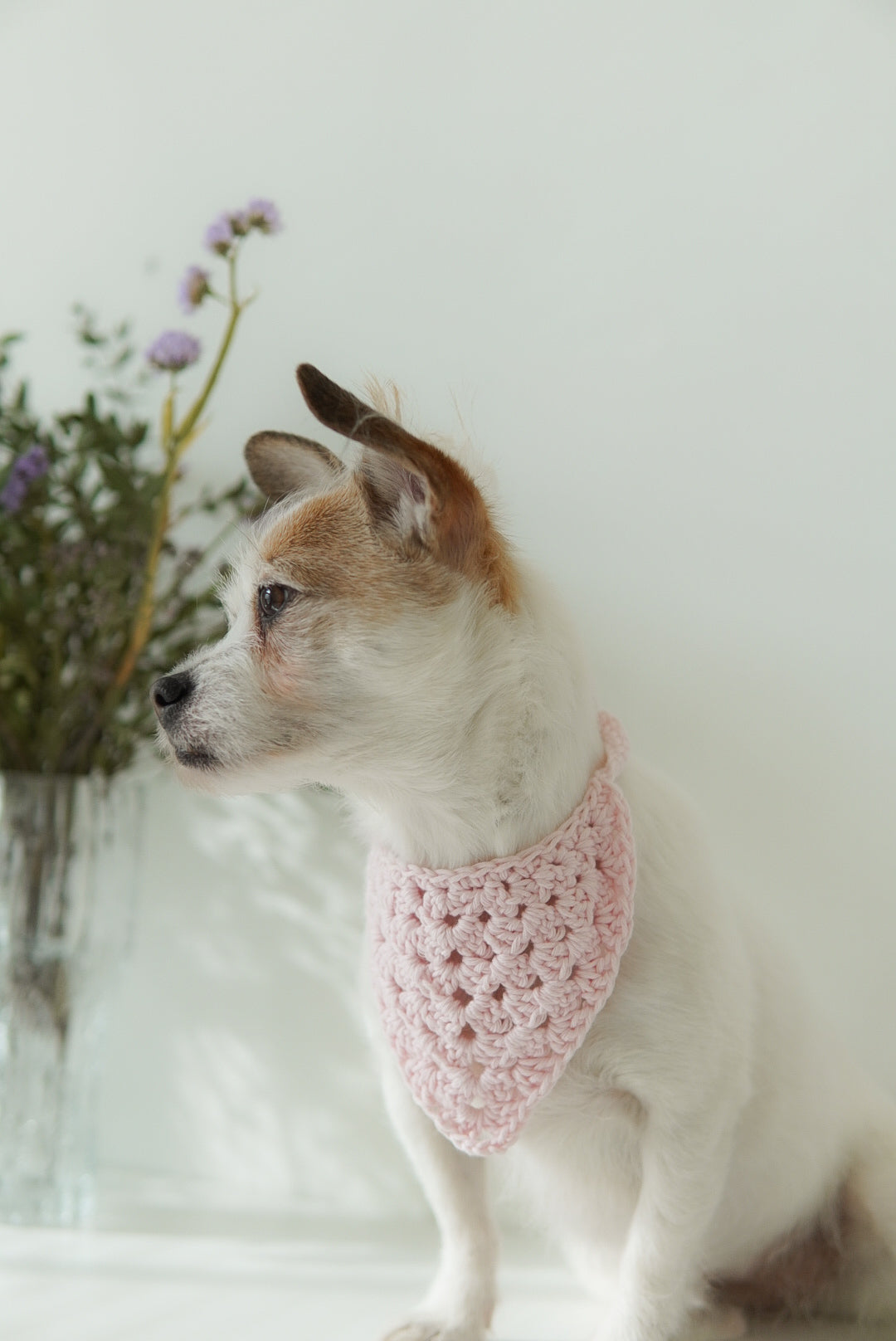 dog wearing pink crochet bandana