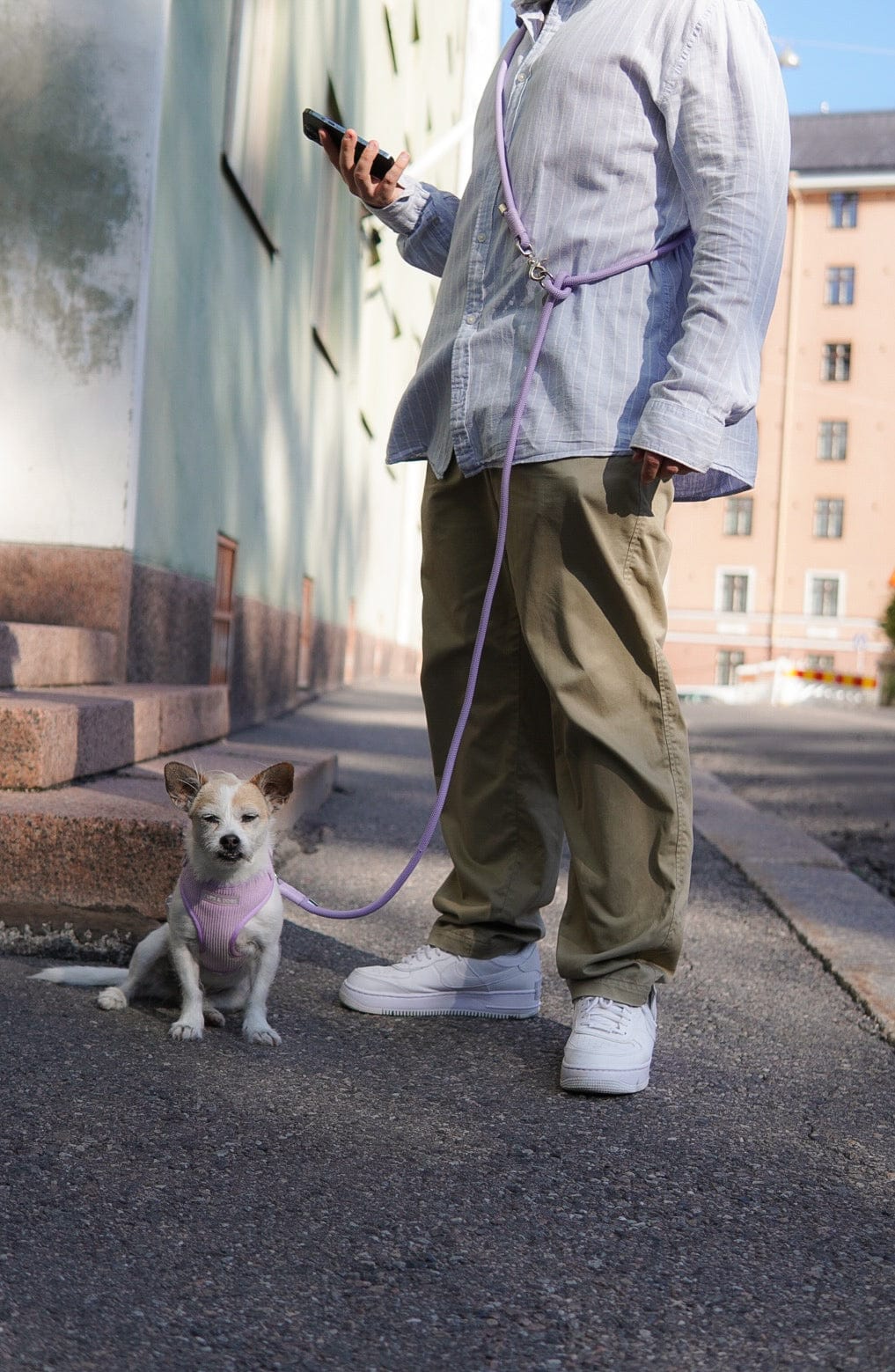 "Purple Pooch" - Hands Free Koppel