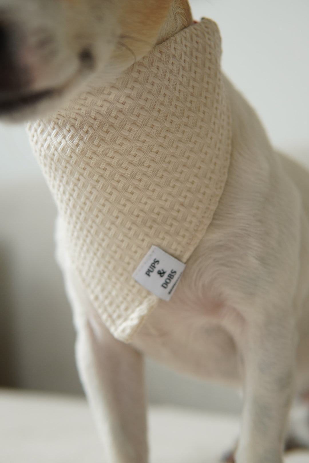 Bandana Soft Beige