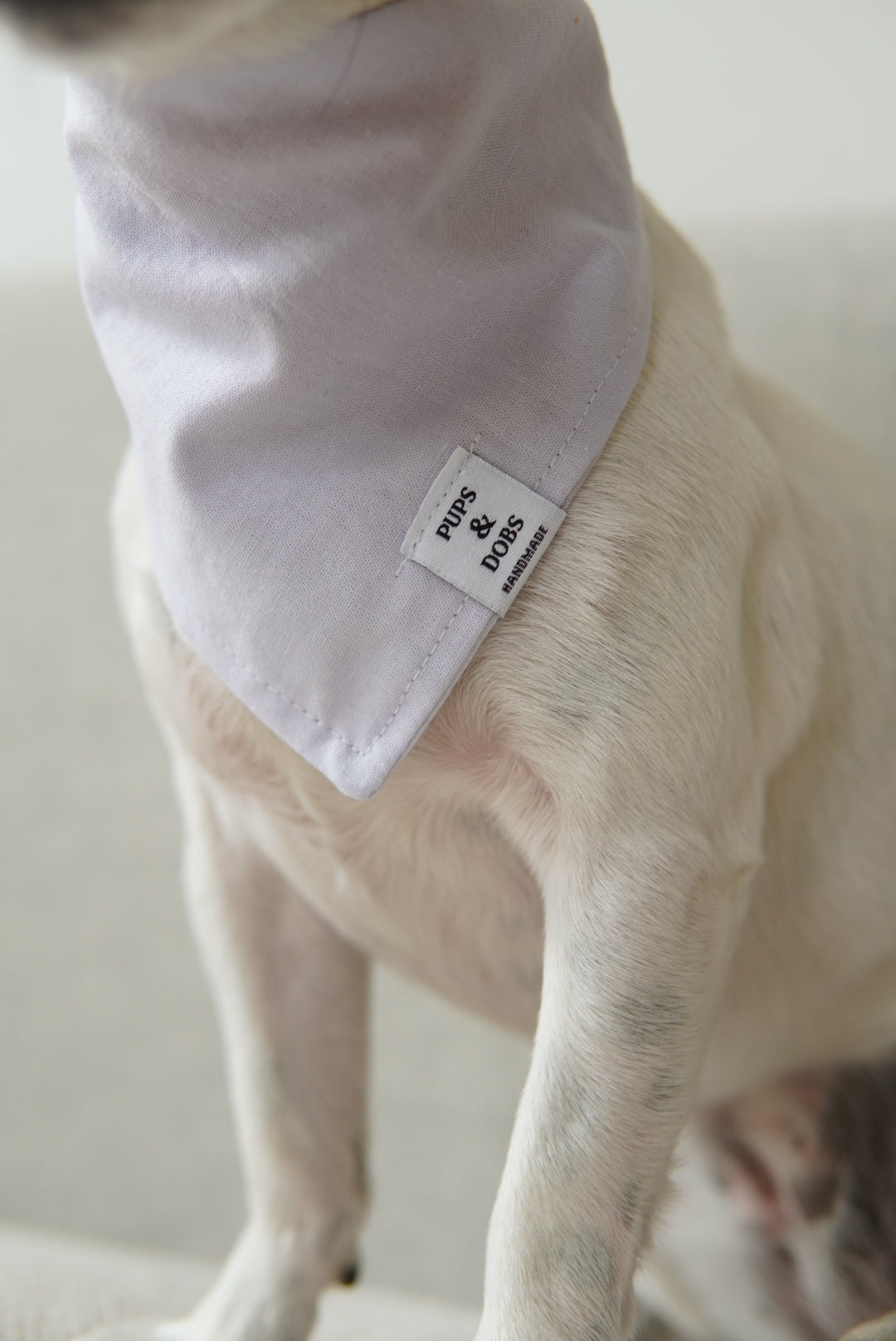 Bandana Laventeli