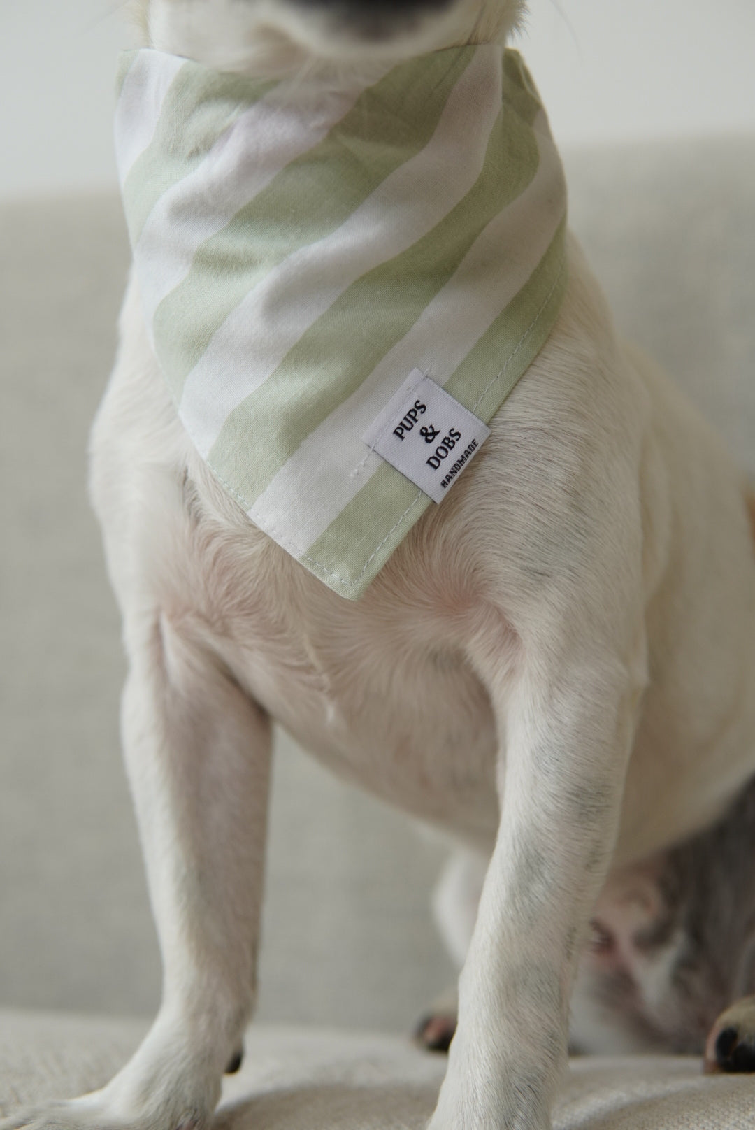 Bandana Green Candy