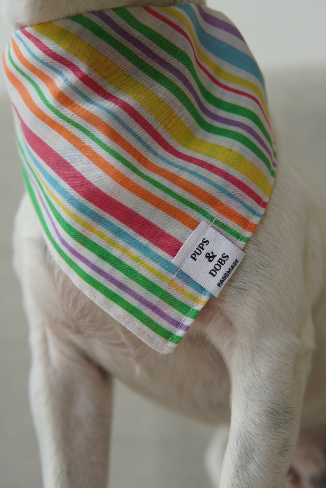 Bandana Birthday