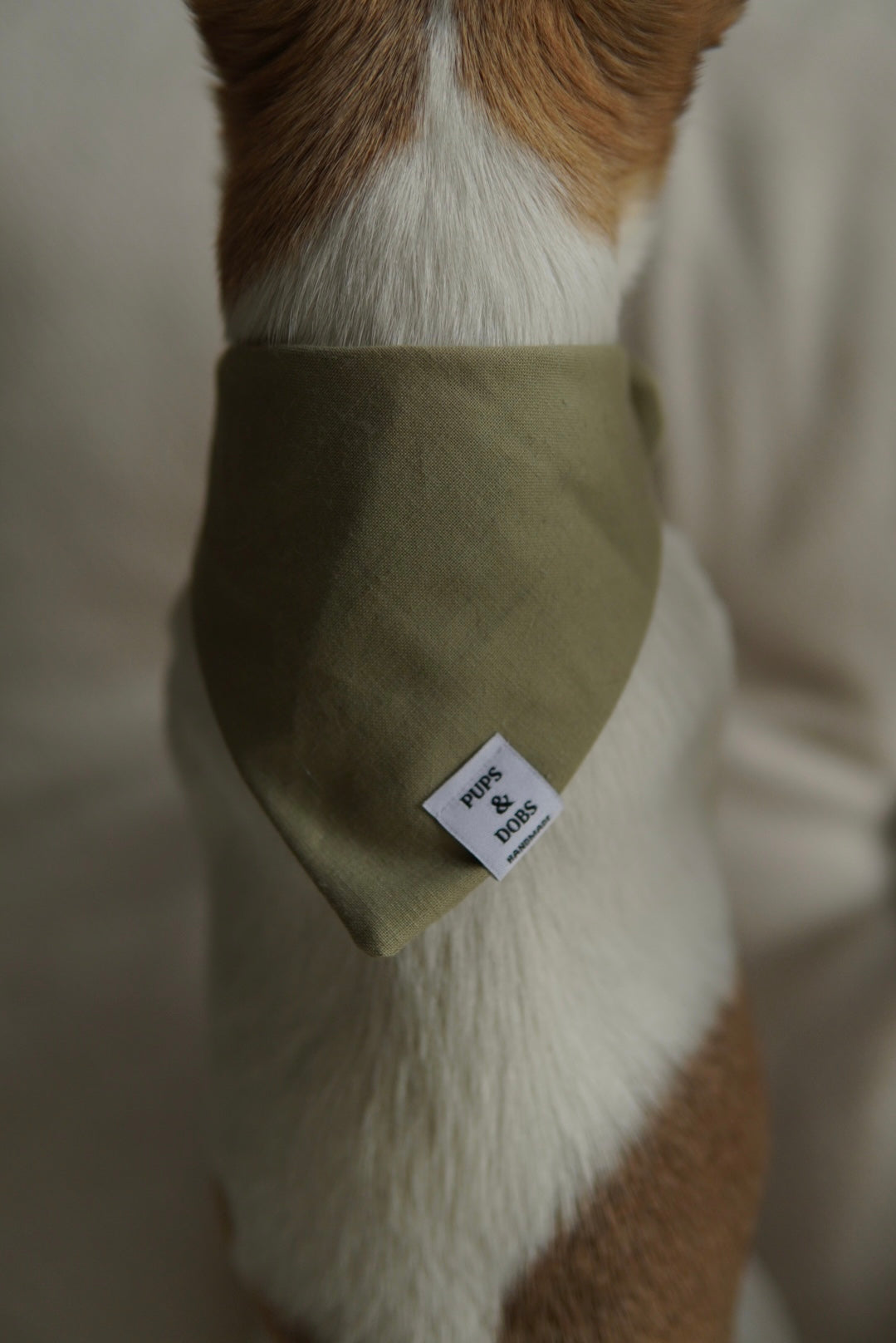 Bandana Green Bean