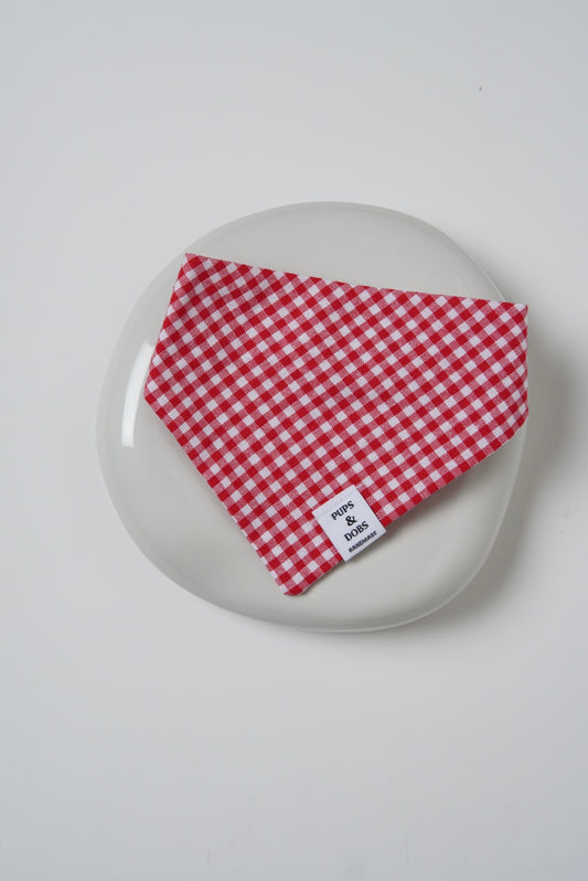 Bandana Red Picnic