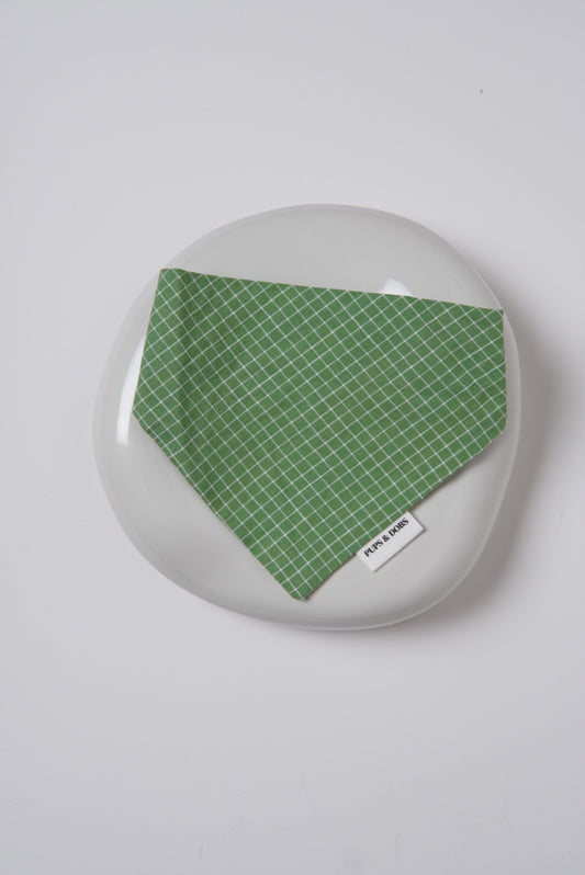 Bandana Green Apple