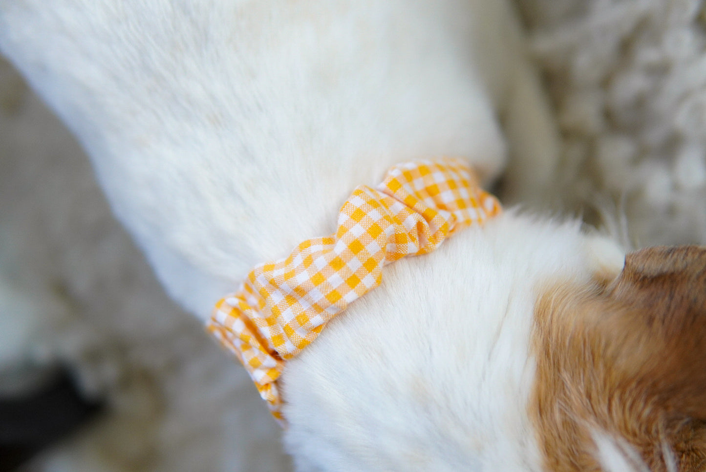 Bandana Orange