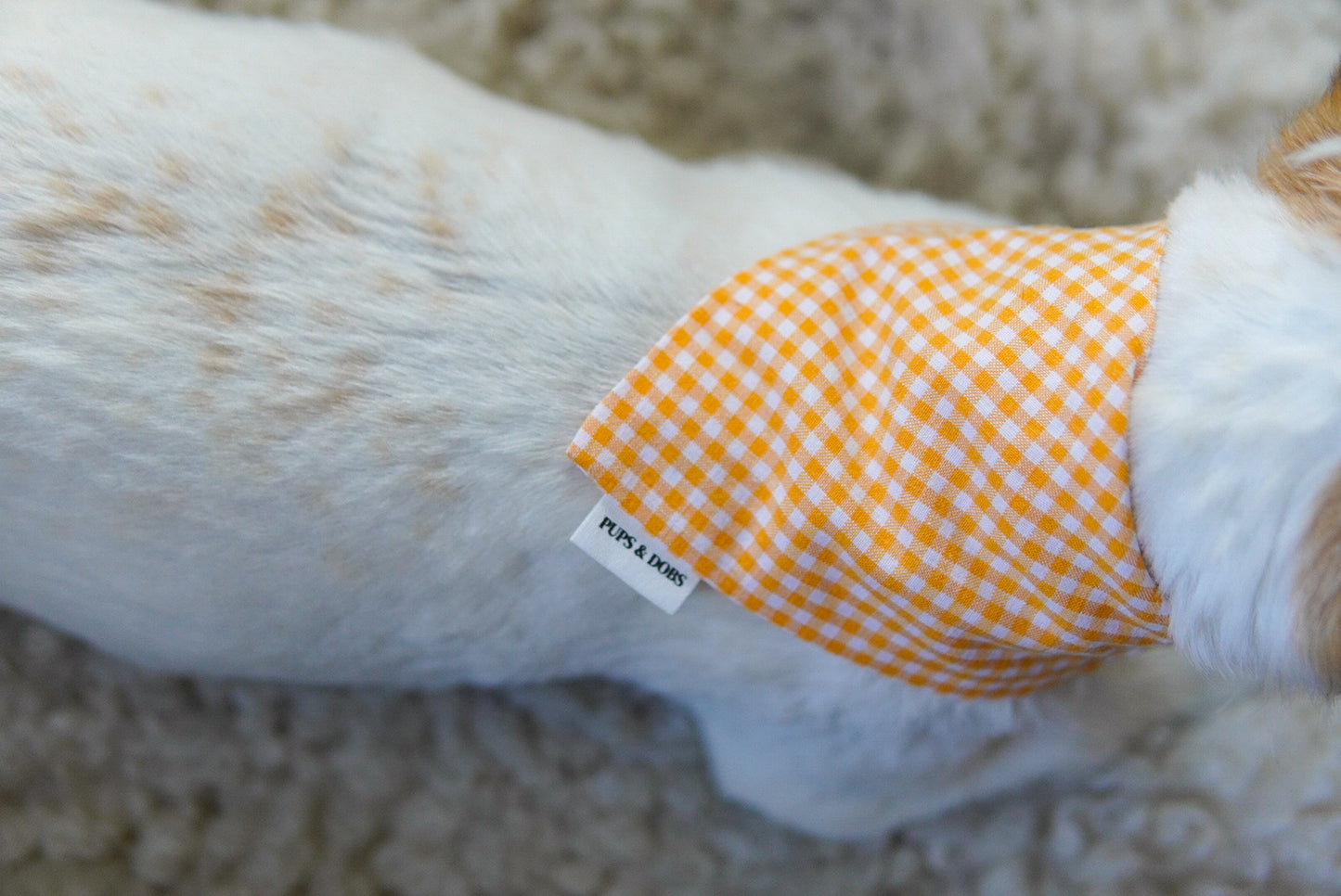 Bandana Orange