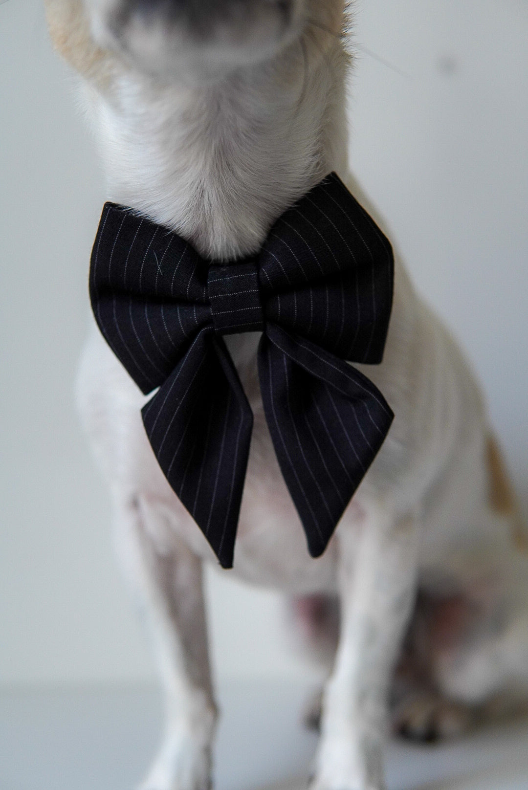 Sailor bow tie for dog, handmade