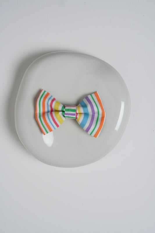 Dog birthday bow tie
