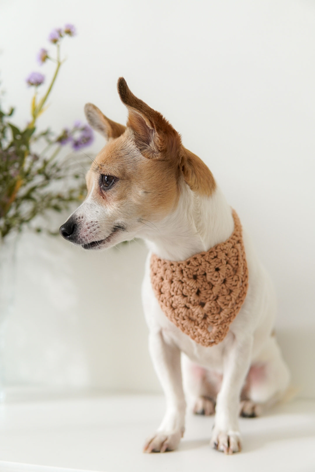 Dog crochet bandana
