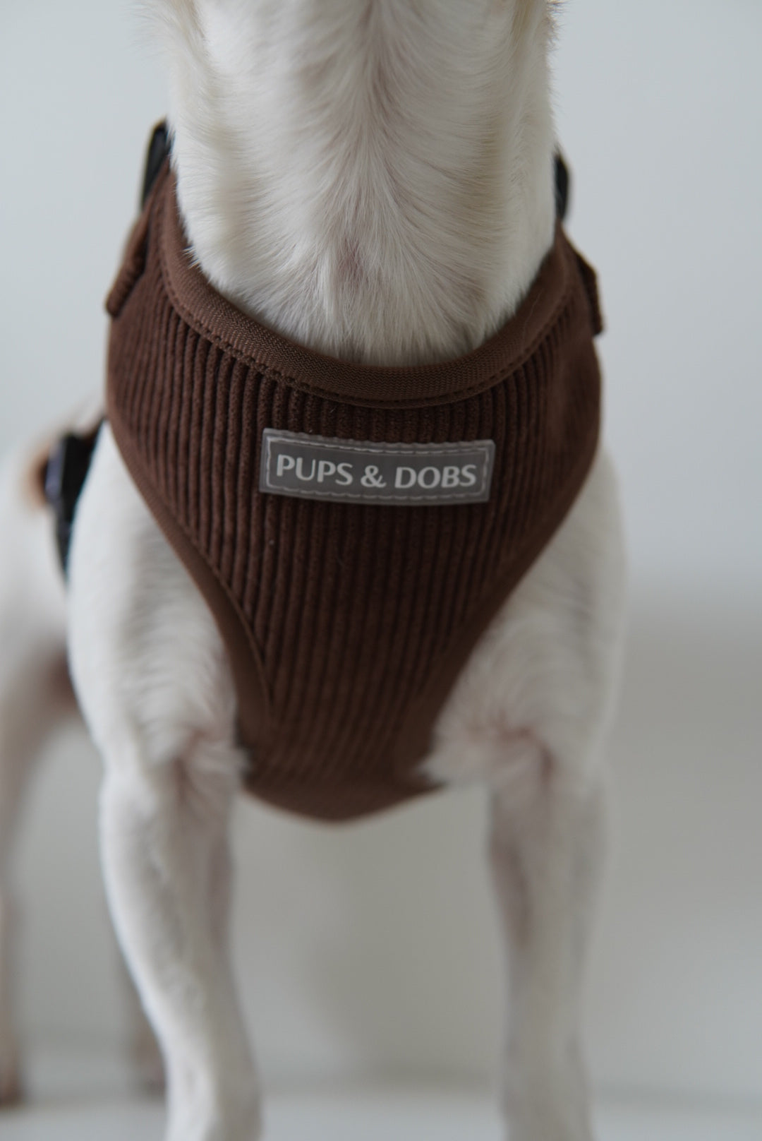 Brown espresso harness