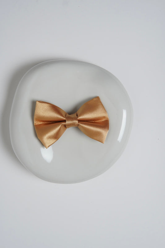 Golden dog bow tie