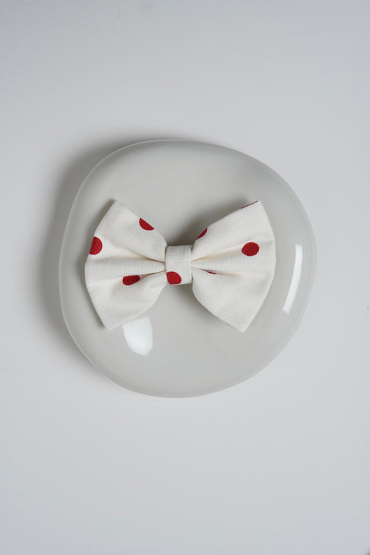 Polka dot dog bow tie