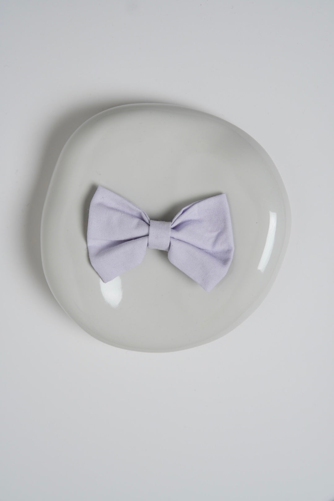 Purple dog bow tie