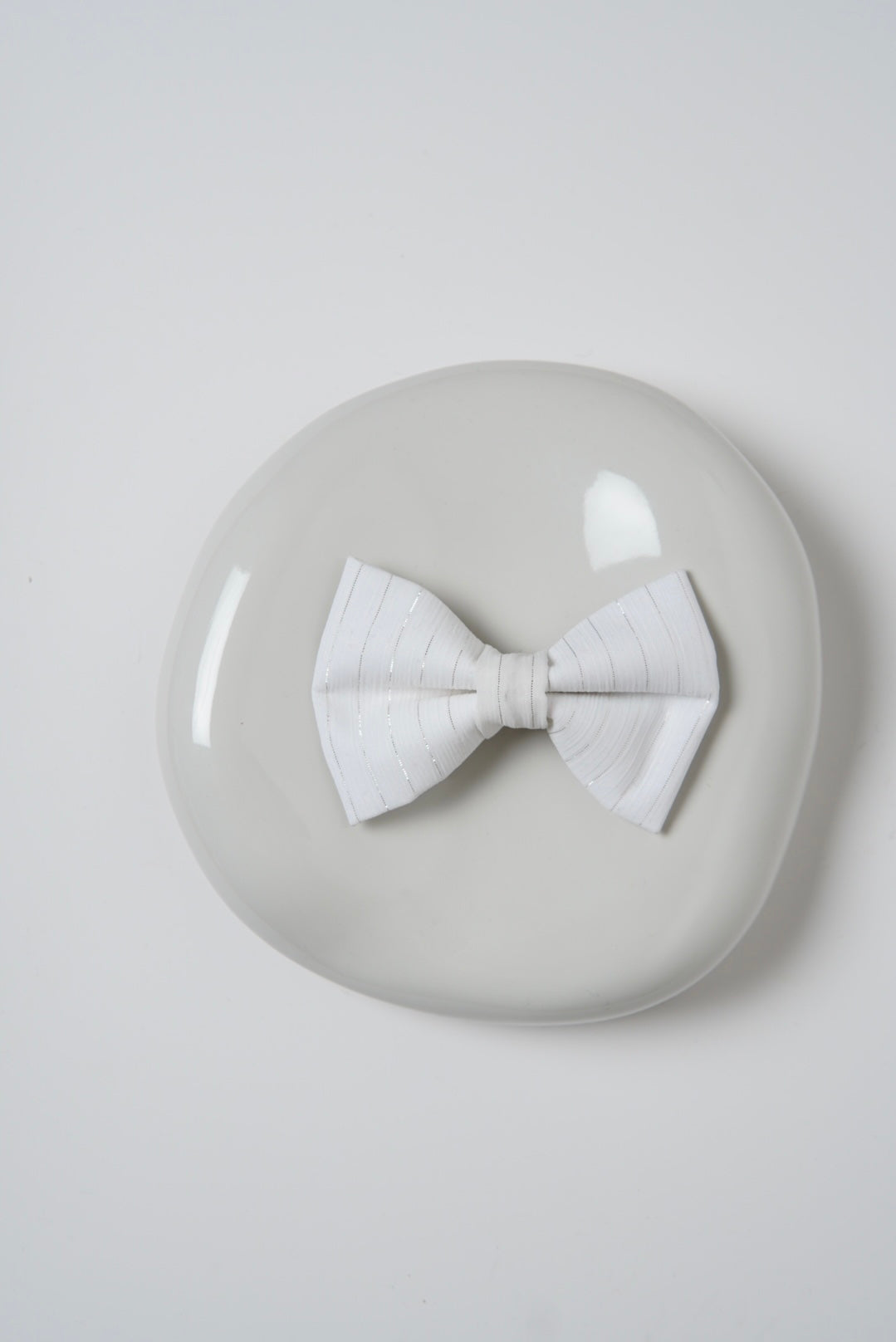 Stylish white dog bow tie