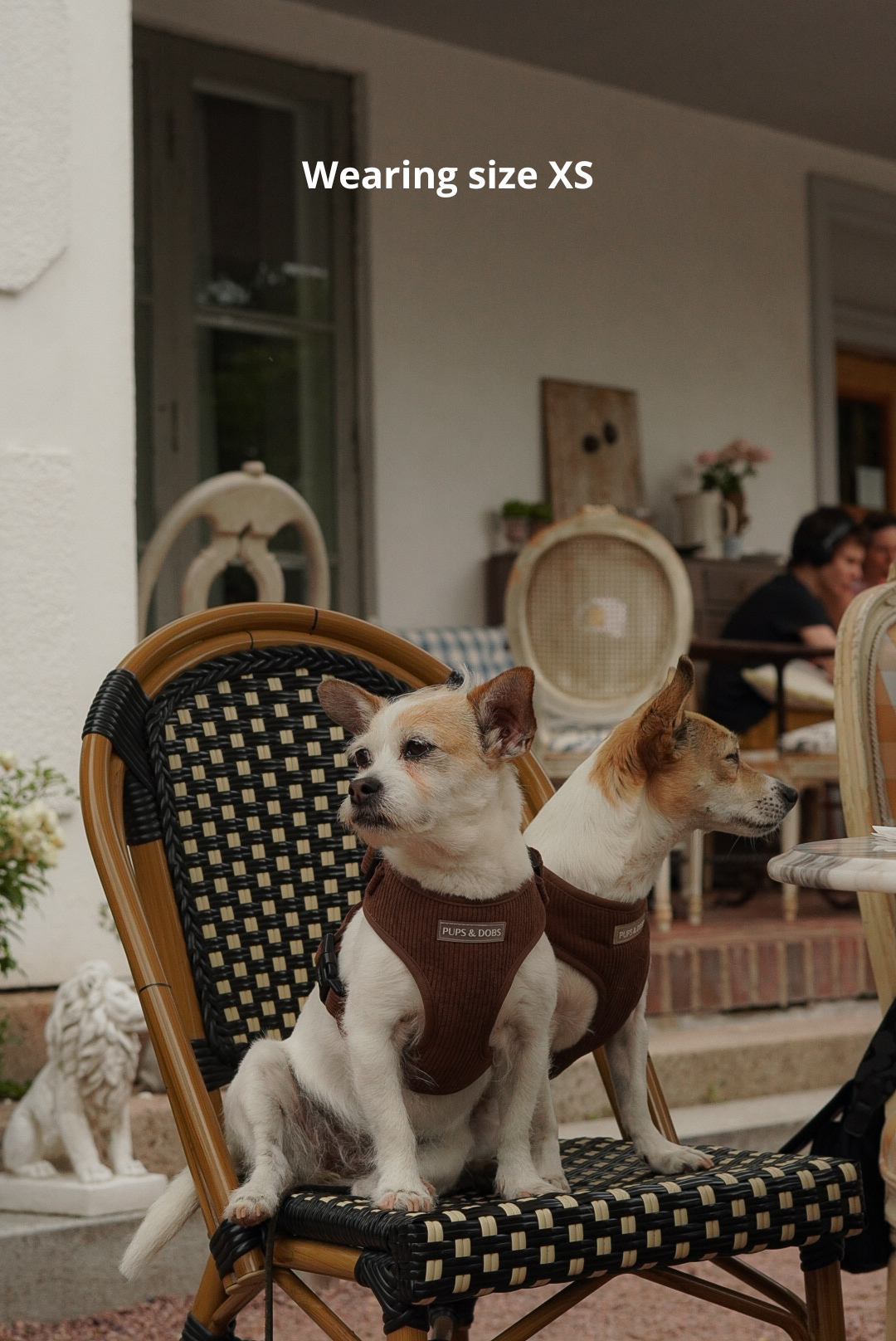 Espresso - justerbar hundsele