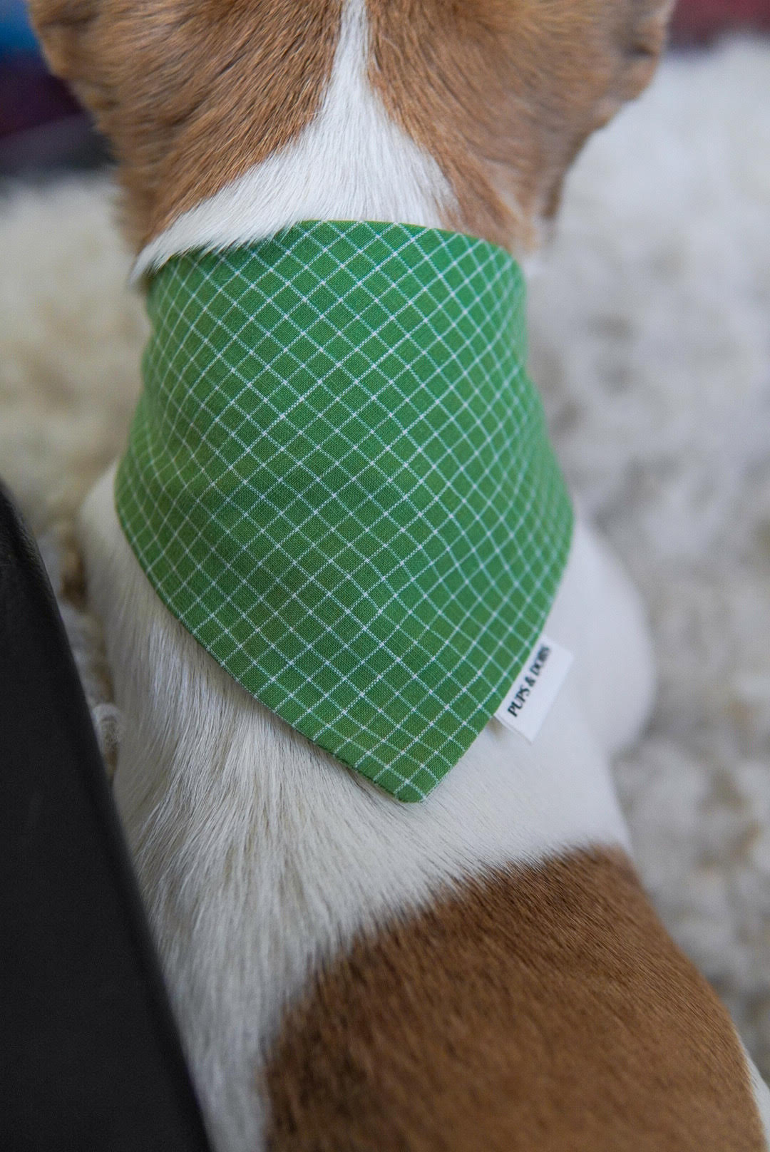 Bandana Green Apple
