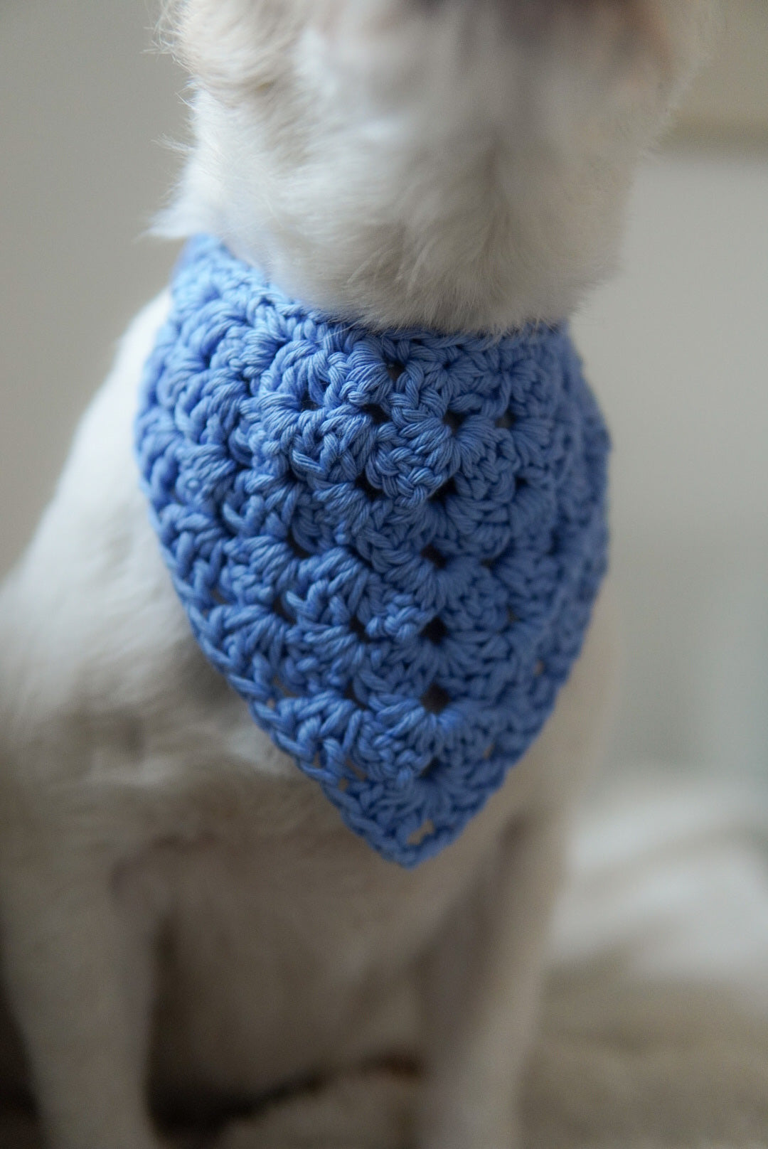 Bandana Crocheted Blue