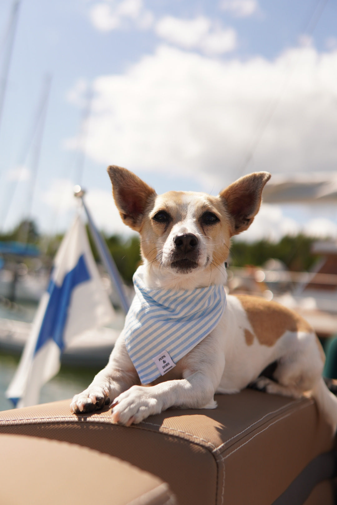 Bandana Sailor