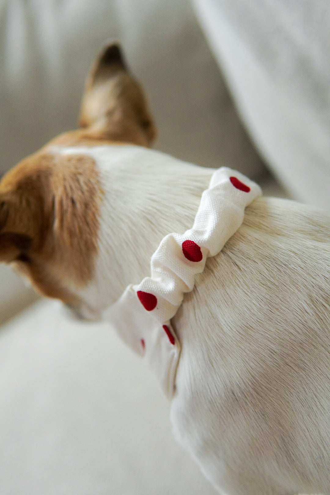 Bandana Polka Dot