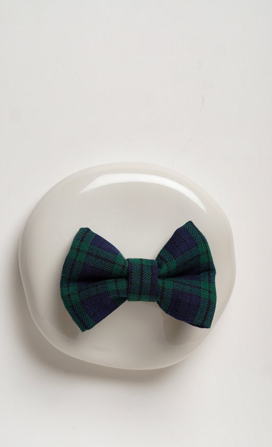 Green plaid bow tie on a white plate with a white background