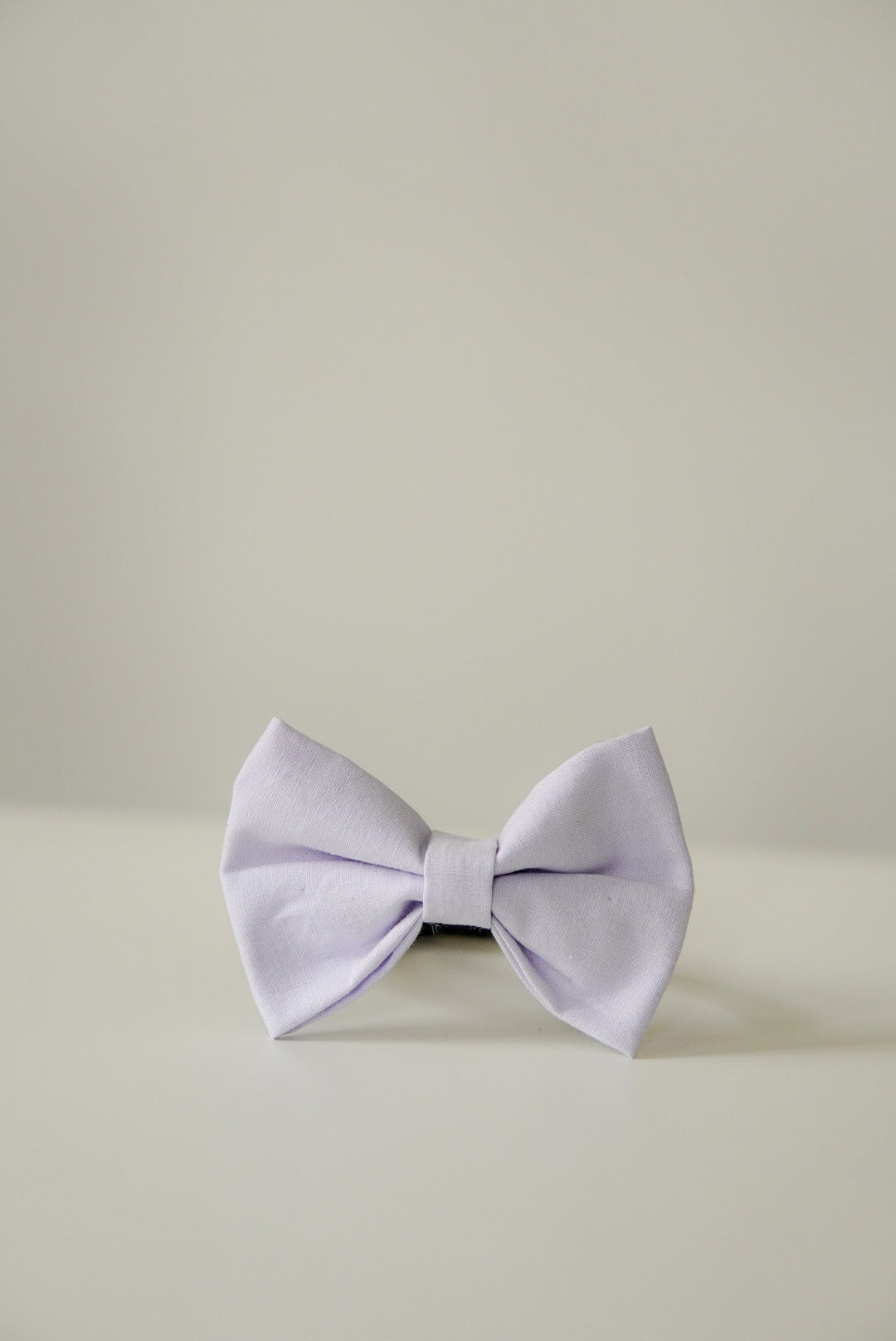 Bow Lavender