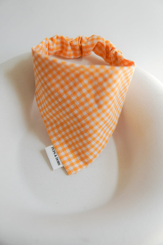 Bandana Orange