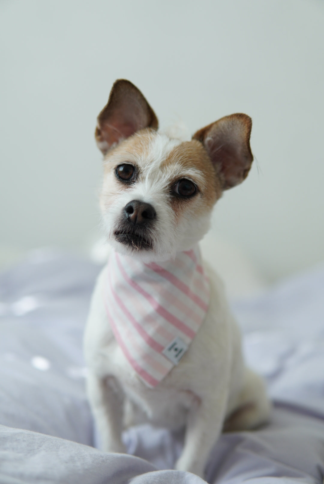 Bandana Pink Candy