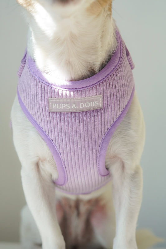 Purple corduroy dog harness
