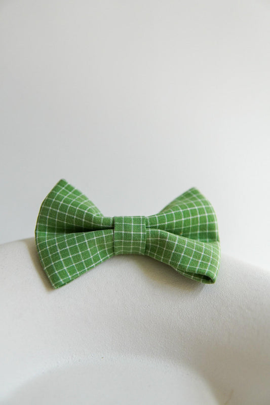 Bow Green Apple